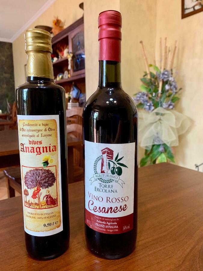 Agriturismo Torre Ercolana Anagni Bagian luar foto